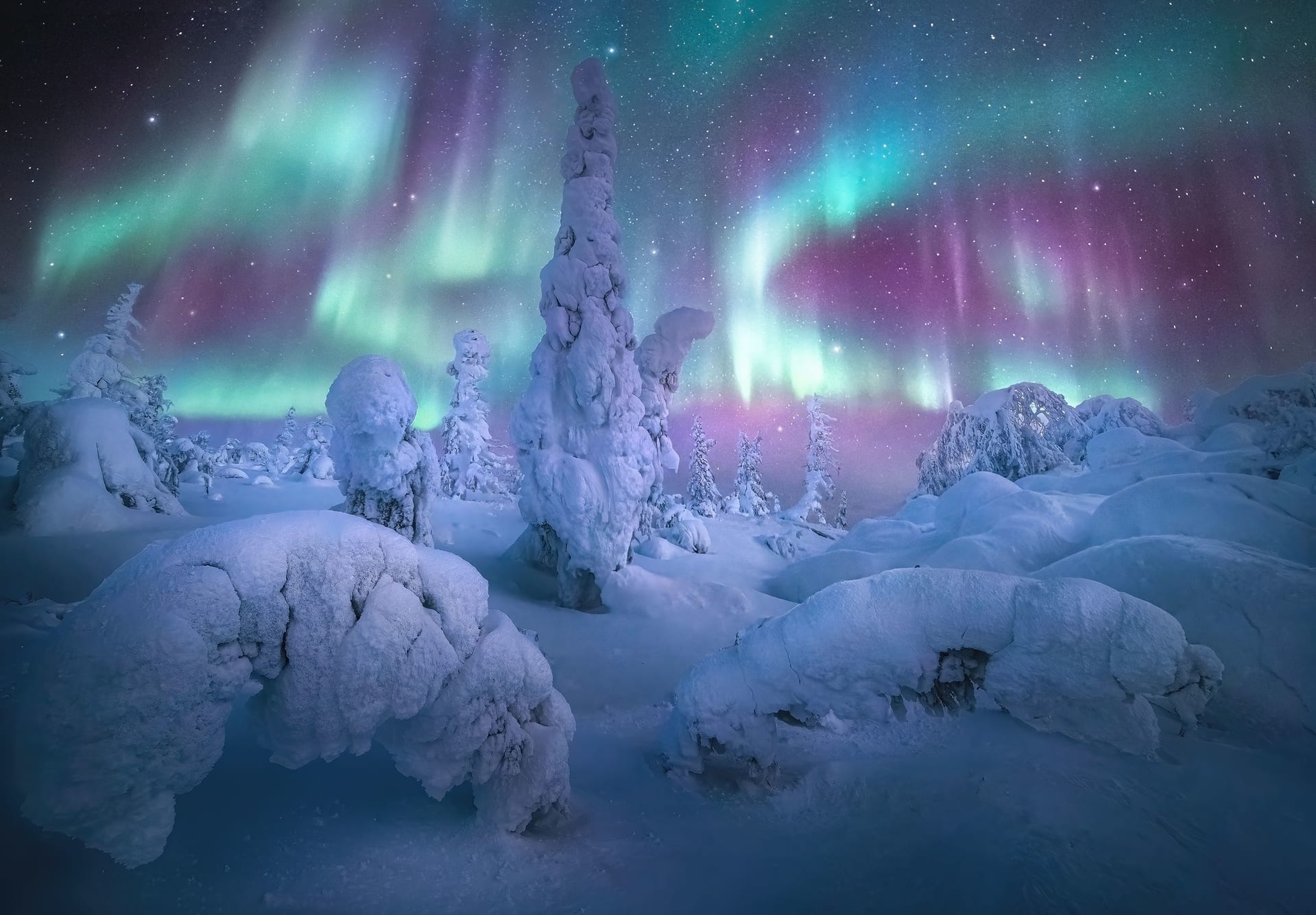 2022 Northern Lights photographer of the year