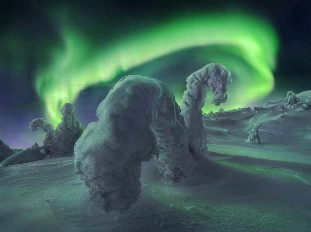 Northern-Lights-frozen-forest-Teriberka-