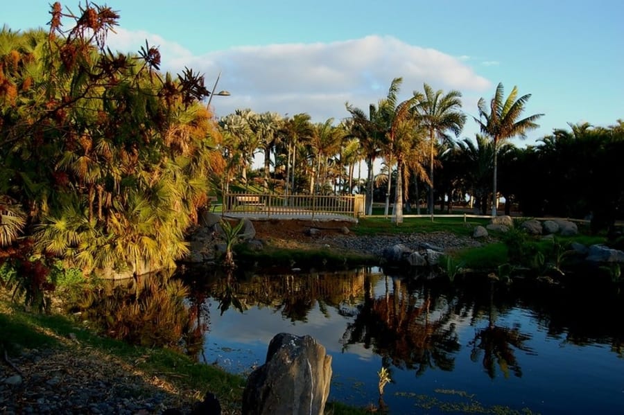 Palmetum, qué hacer en Santa Cruz de Tenerife