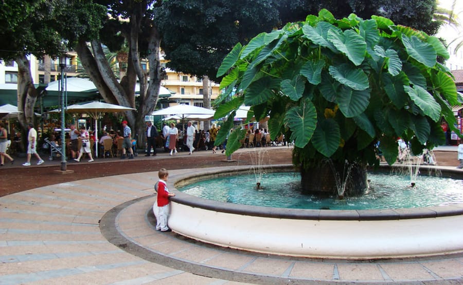Plaza del Charco, actividades en Puerto de la Cruz Tenerife