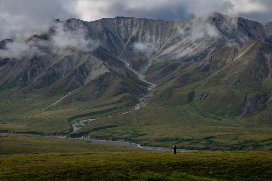 The best Denali photo tour Alaska