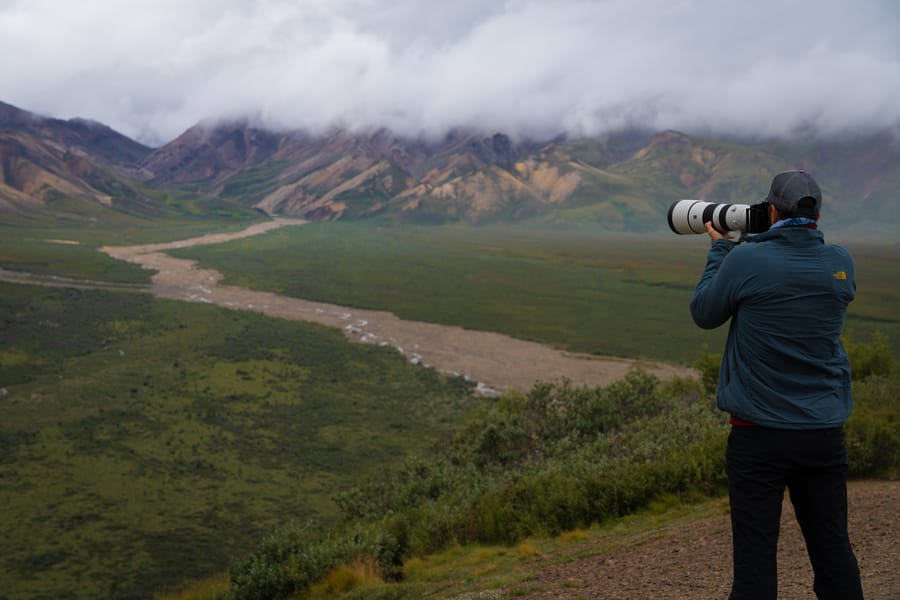 Tour para fotografiar animales salvajes en Alaska