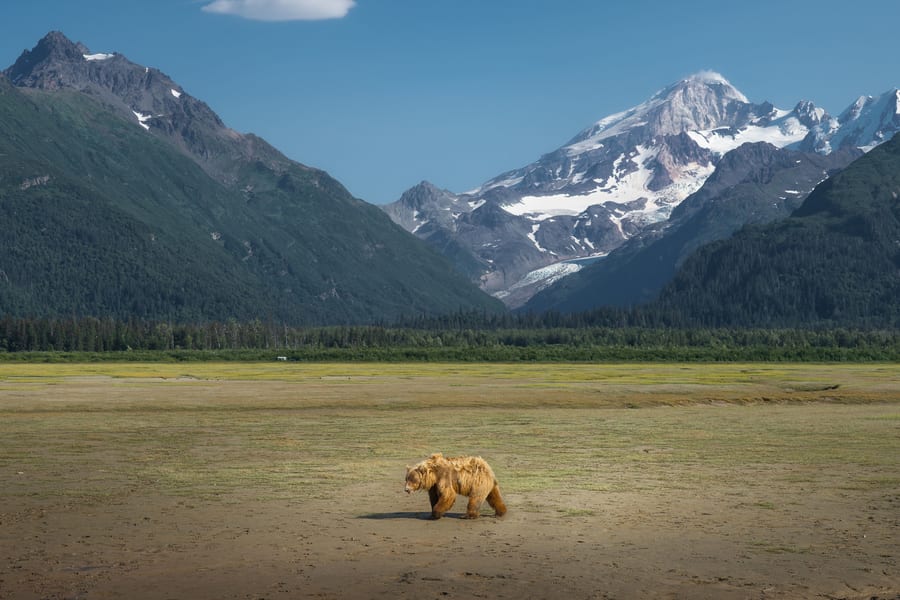 Mejor viaje fotográfico a Alaska 2022