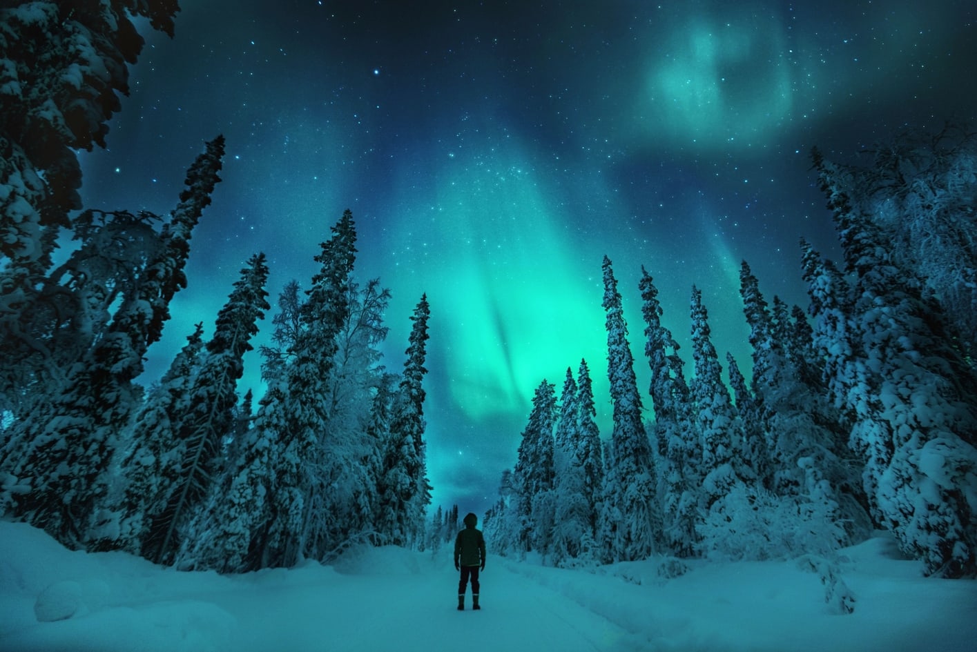 Besøg bedsteforældre hav det sjovt Erfaren person Seeing the Northern Lights in Finland – Best Time and Places