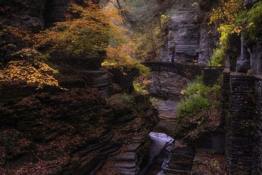 Robert H. Treman State Park, things to do in new york state
