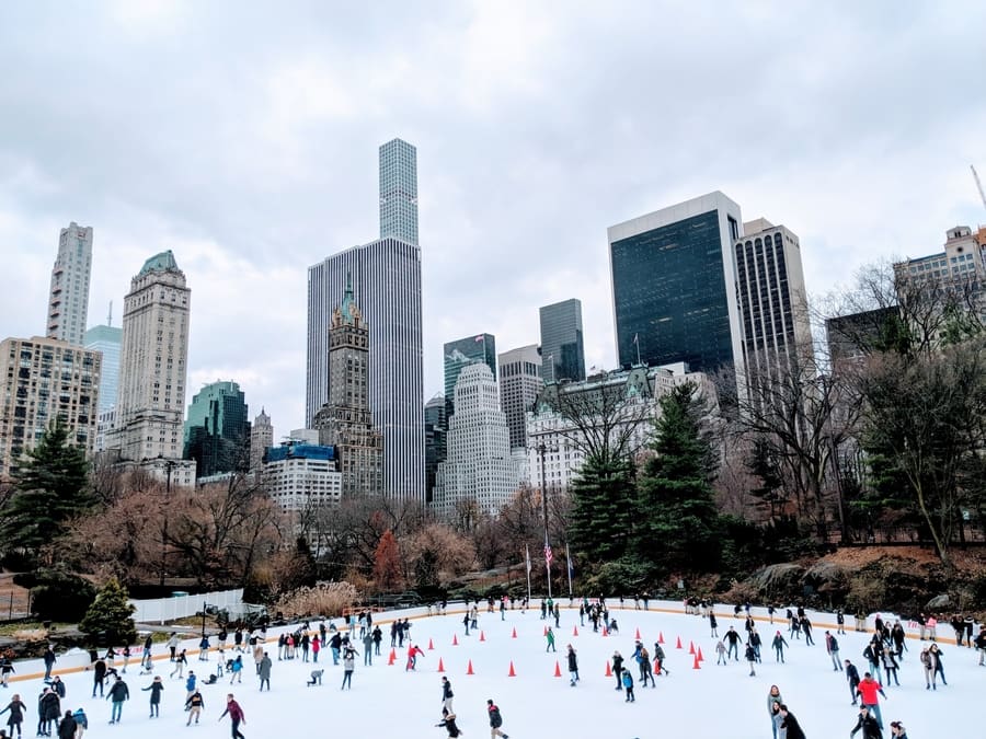 Central Park, christmas day in new york city