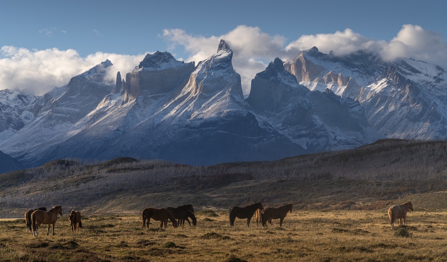 Visita y fotografía Torres del Paine en Patagonia