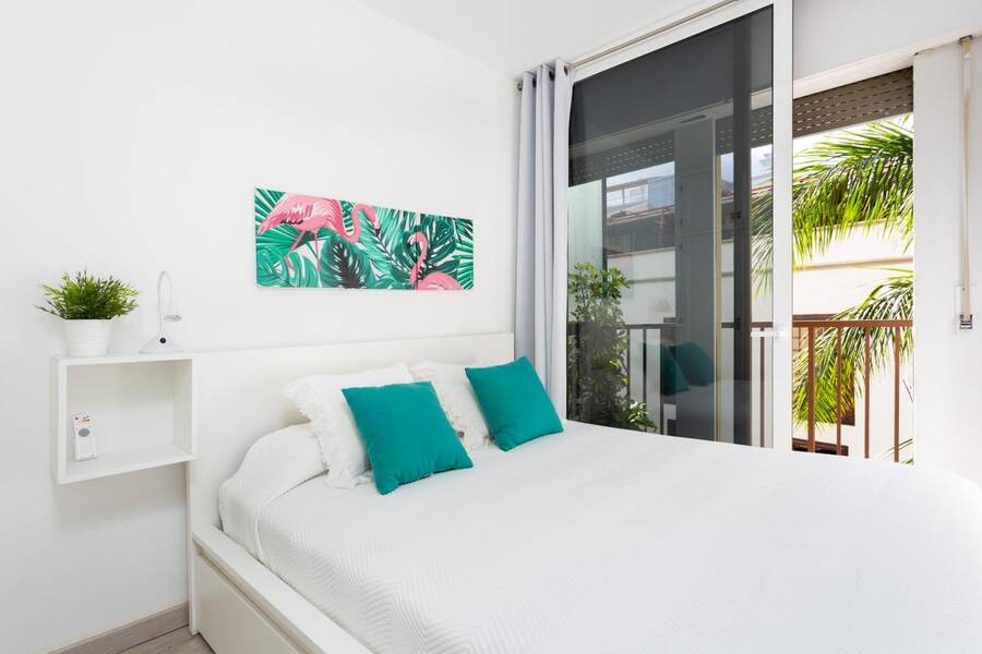 Monkey House, alquiler apartamentos Santa Cruz de Tenerife centro, Islas Canarias