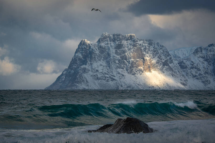 The best photography tour to Lofoten islands