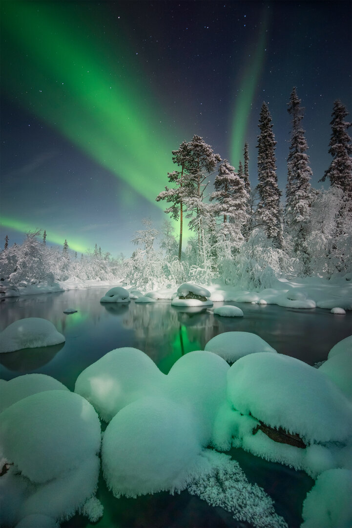 A bright green Aurora covers the sky over a frozen forest