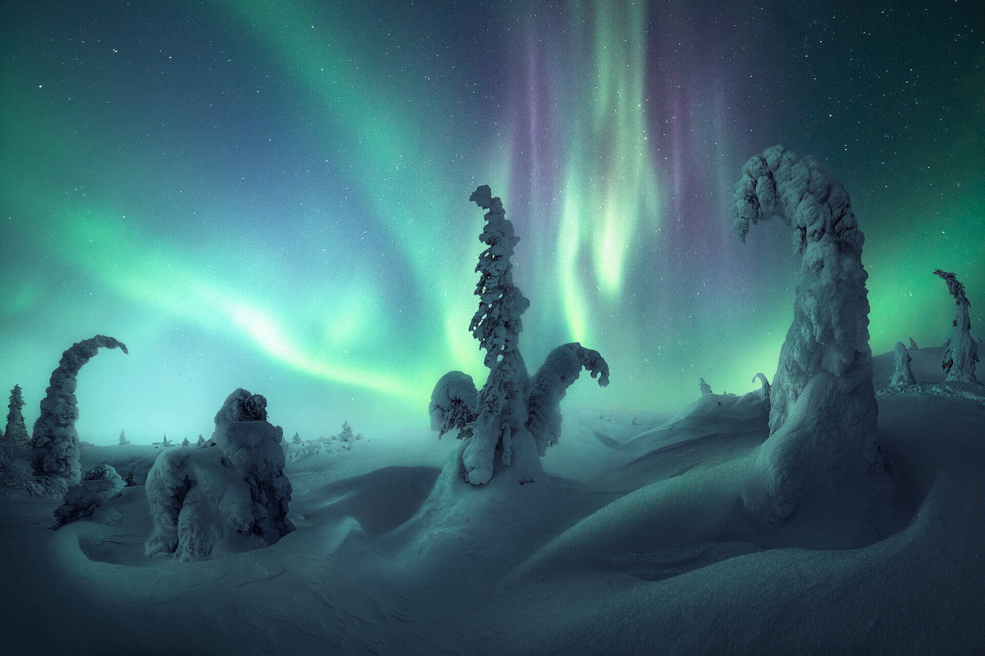 Cielo nocturno completamente cubierto en una brillante Aurora Boreal sobre un bosque congelado