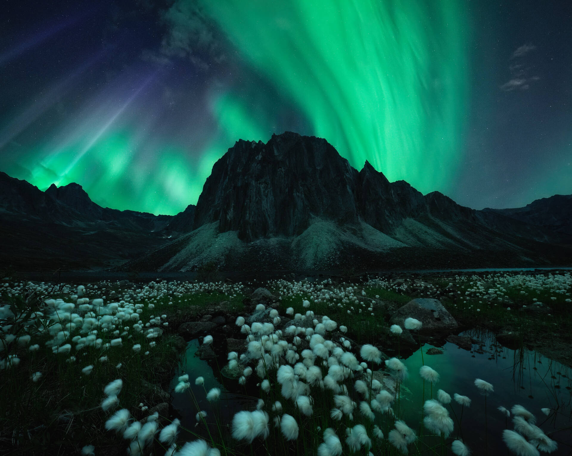Northern Lights covering the night sky over a mountain and a cotton field