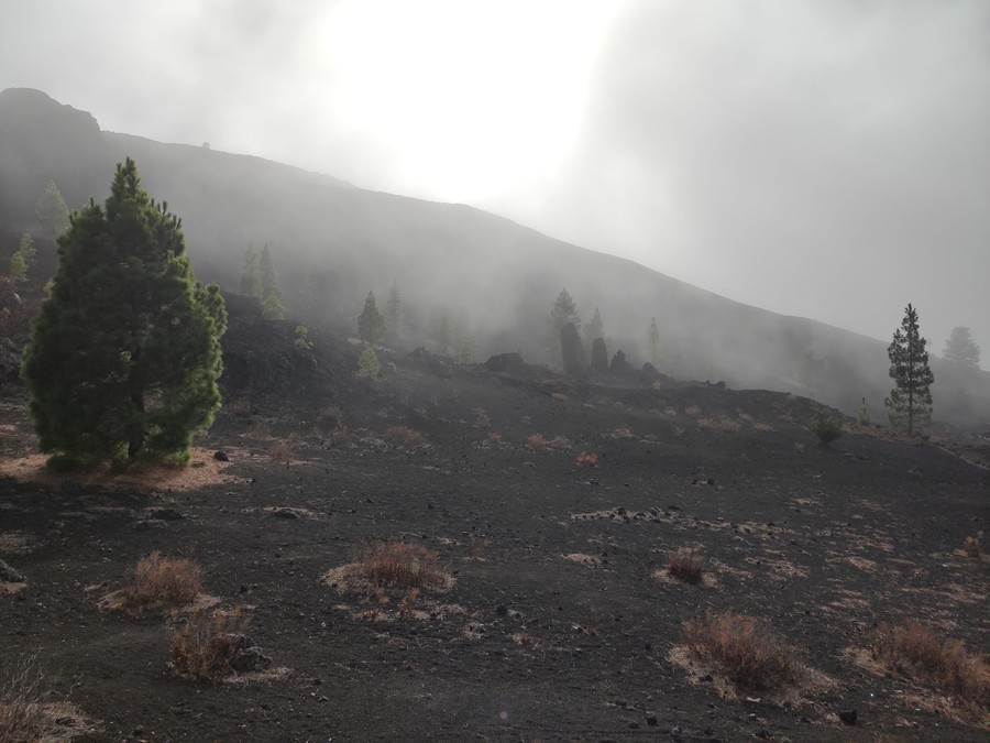 Arenas Negras campsite, campervan parking tenerife Arenas Negras campsite, caravan sites in tenerife south