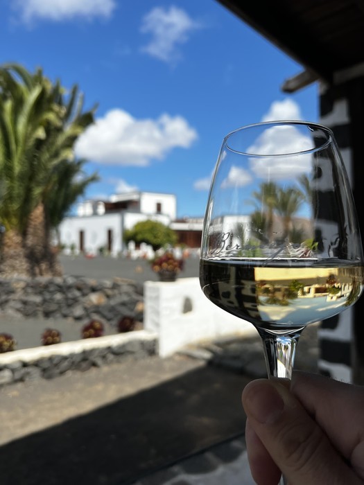 Bermejo Winery, la geria cata de vinos Bermejo Winery, festival la geria lanzarote