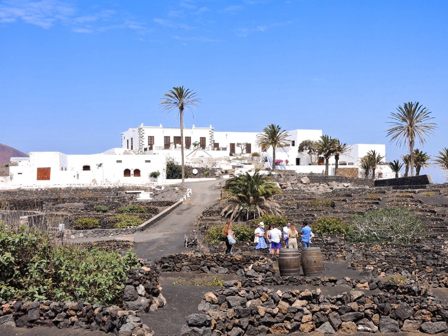 Vega de Yuco Winery, wine tasting la geria Vega de Yuco Winery, la geria lanzarote