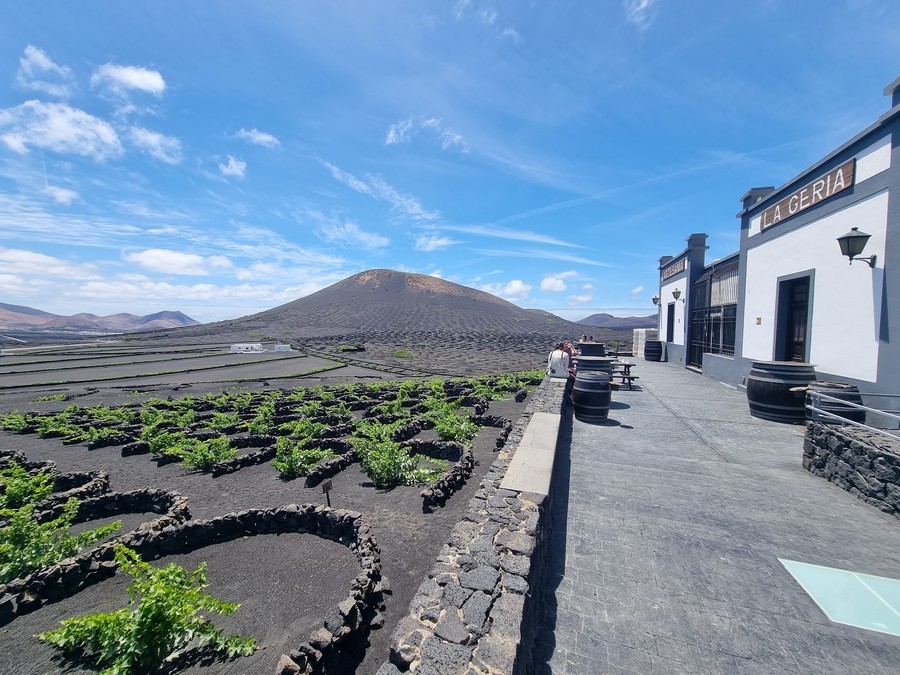 La Geria Winery, hotel la geria lanzarote La Geria Winery, wine tasting la geria