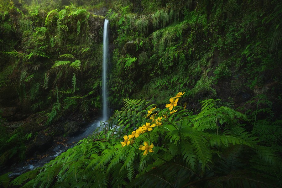 Madeira Photo Tour