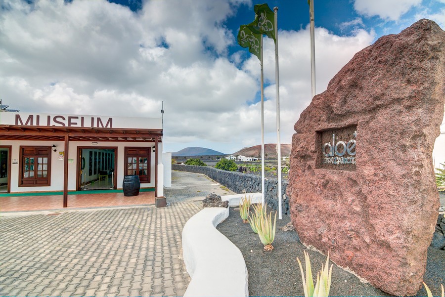 Aloe Museum, one of the museums in Lanzarote with free entry Aloe Museum, one of the museums in Lanzarote you should visit if you are travelling with a small budget