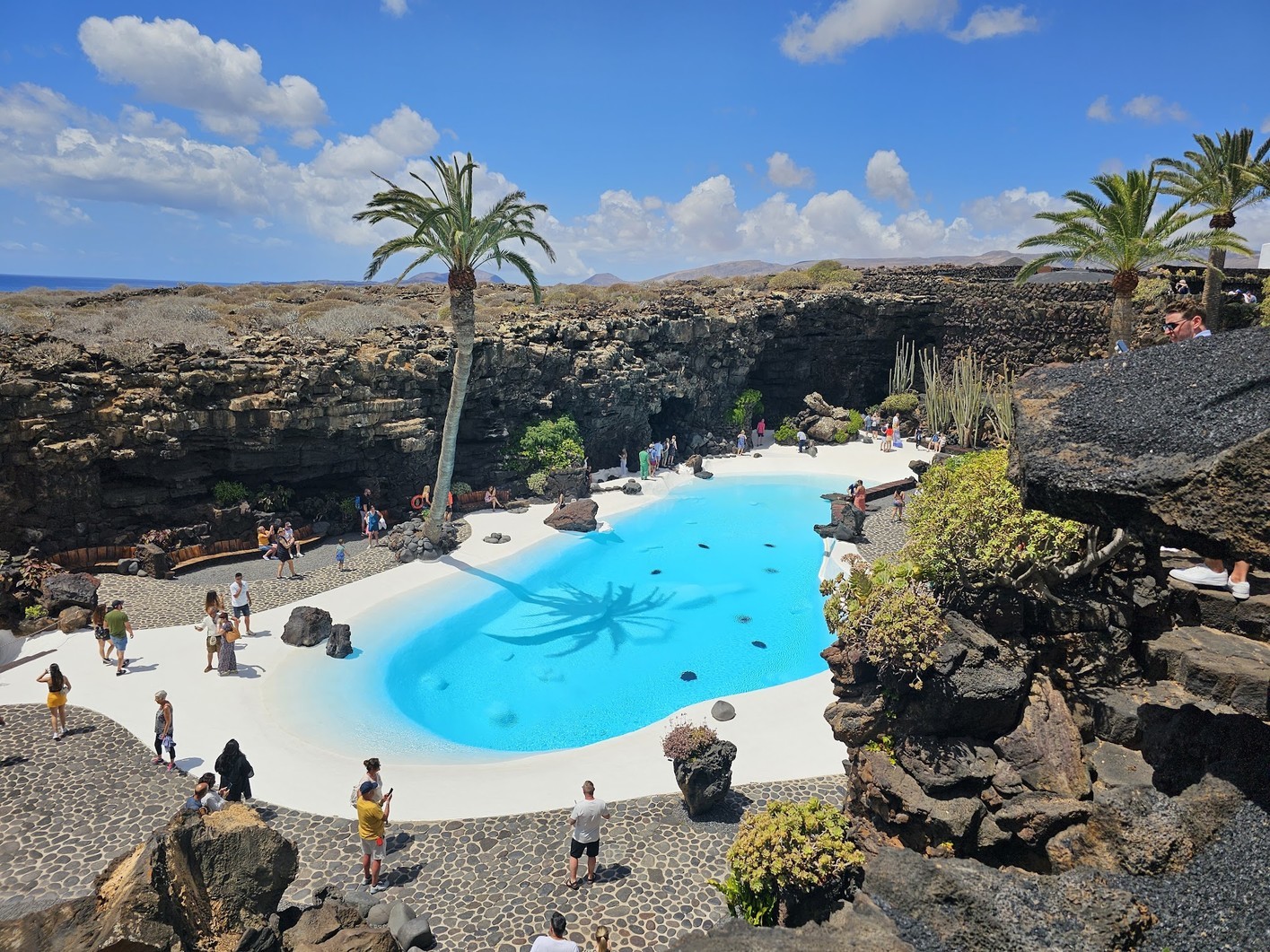 Jameos del Agua’s pool is located in Jameo Grande Jameo Grande is where you can see the Jameos del Agua’s pool