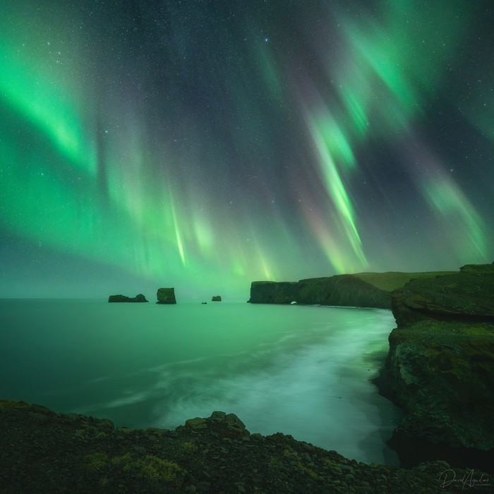 Northern lights in Dyrholaey