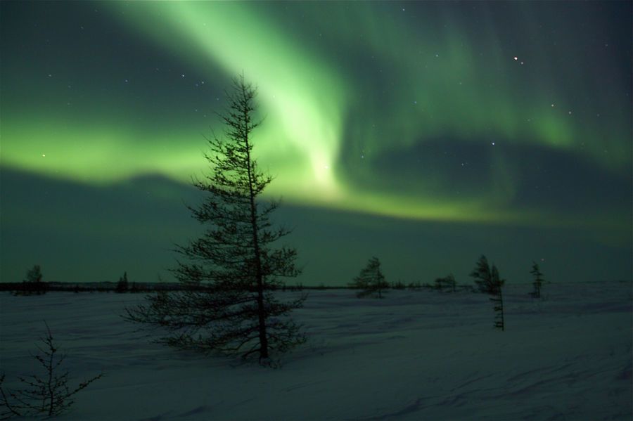 Churchill (Manitoba), best place in canada to see northern lights Churchill (Manitoba), when can you see the northern lights in canada