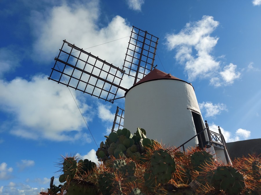 The mill, cactus garden lanzarote bus The mill, cactus garden hours