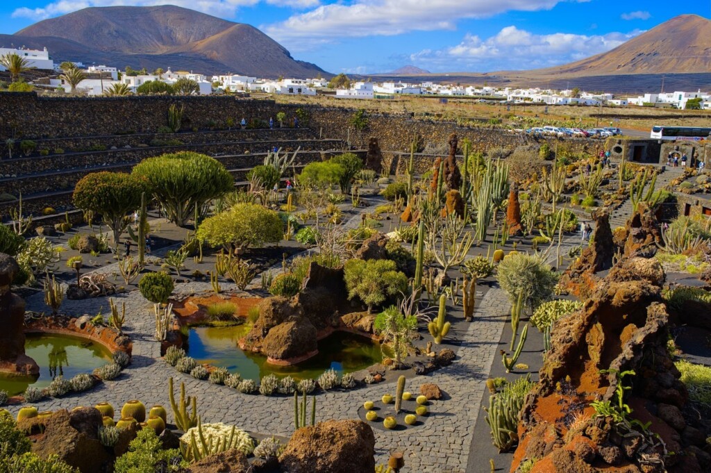 Jardín de Cactus, cactus garden in lanzarote Jardín de Cactus, jardin de cactus garden lanzarote