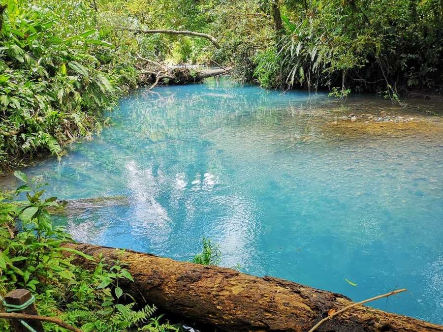 Swimming Rio Celeste Costa Rica