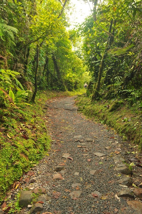 Things to do in Rio Celeste Costa Rica