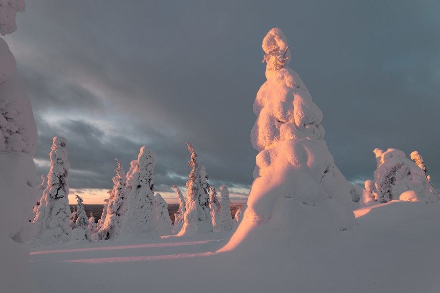 Finnish Lapland photo tour