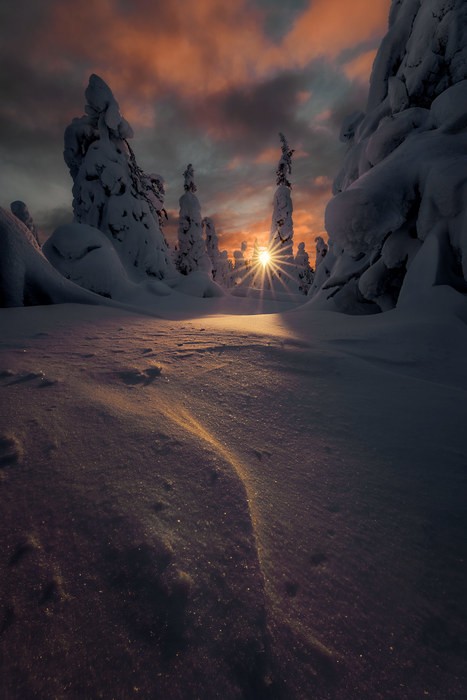 Finnish Lapland during our Photo Tour