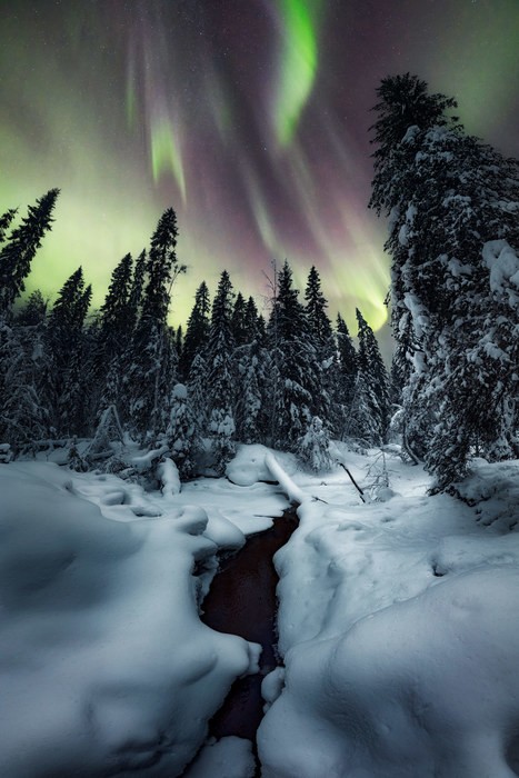 Finnish Lapland photo tour