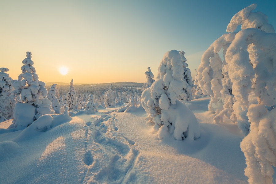 Midnight sun during our Photo Tour in the Finnish Lapland
