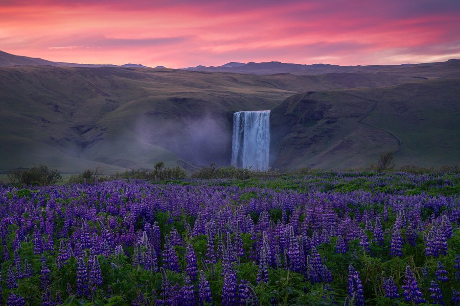 Skogafoss waterfall in Iceland during a colorful sunset