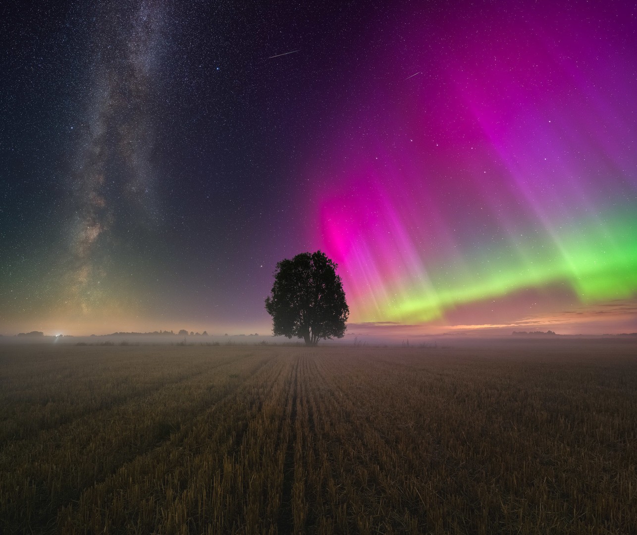 Milky Way and Aurora over a tree Nothern lights and Milky Way in the dark night sky over a tree