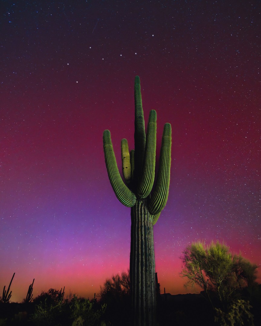 Northern Lights in Arizona Red Northern Lights glowing over a cactus