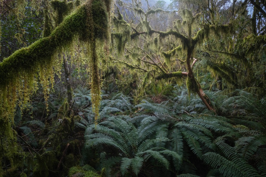Photography a wide variety of landscapes in New Zealand