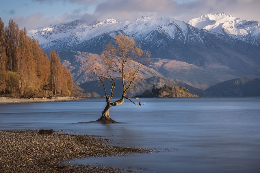 New Zealand photo tour