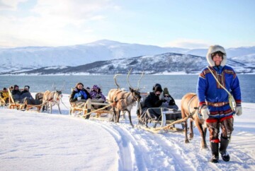 Tromso Arctic reindeer, sledding, and Sami culture tour, a festive thing to do for Christmas in Tromso