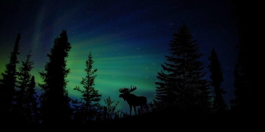 Best time to see Northern Lights in Fairbanks, during aurora season from August to April