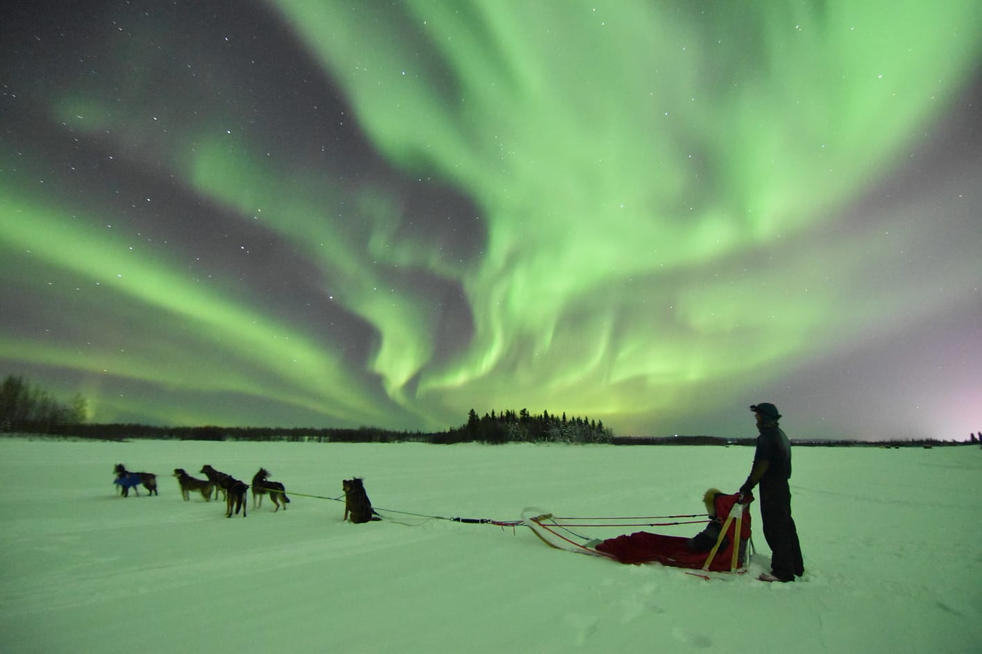 Tour de auroras boreales en Fairbanks con paseo en trineo tirado por perros