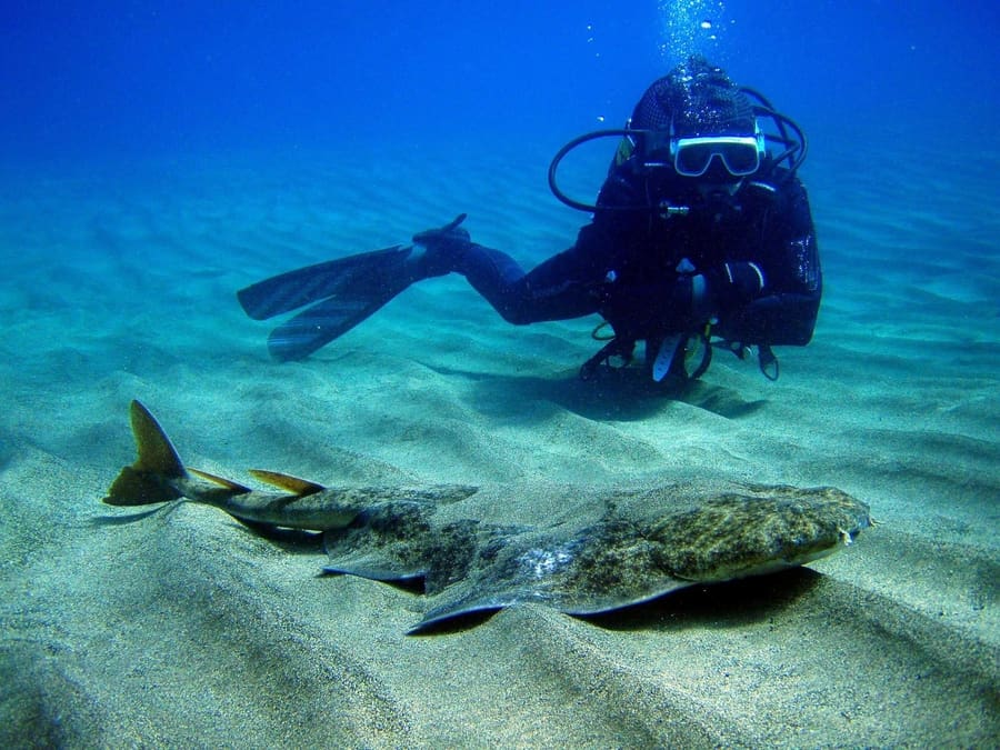 Scuba diving, puerto del carmen tourism